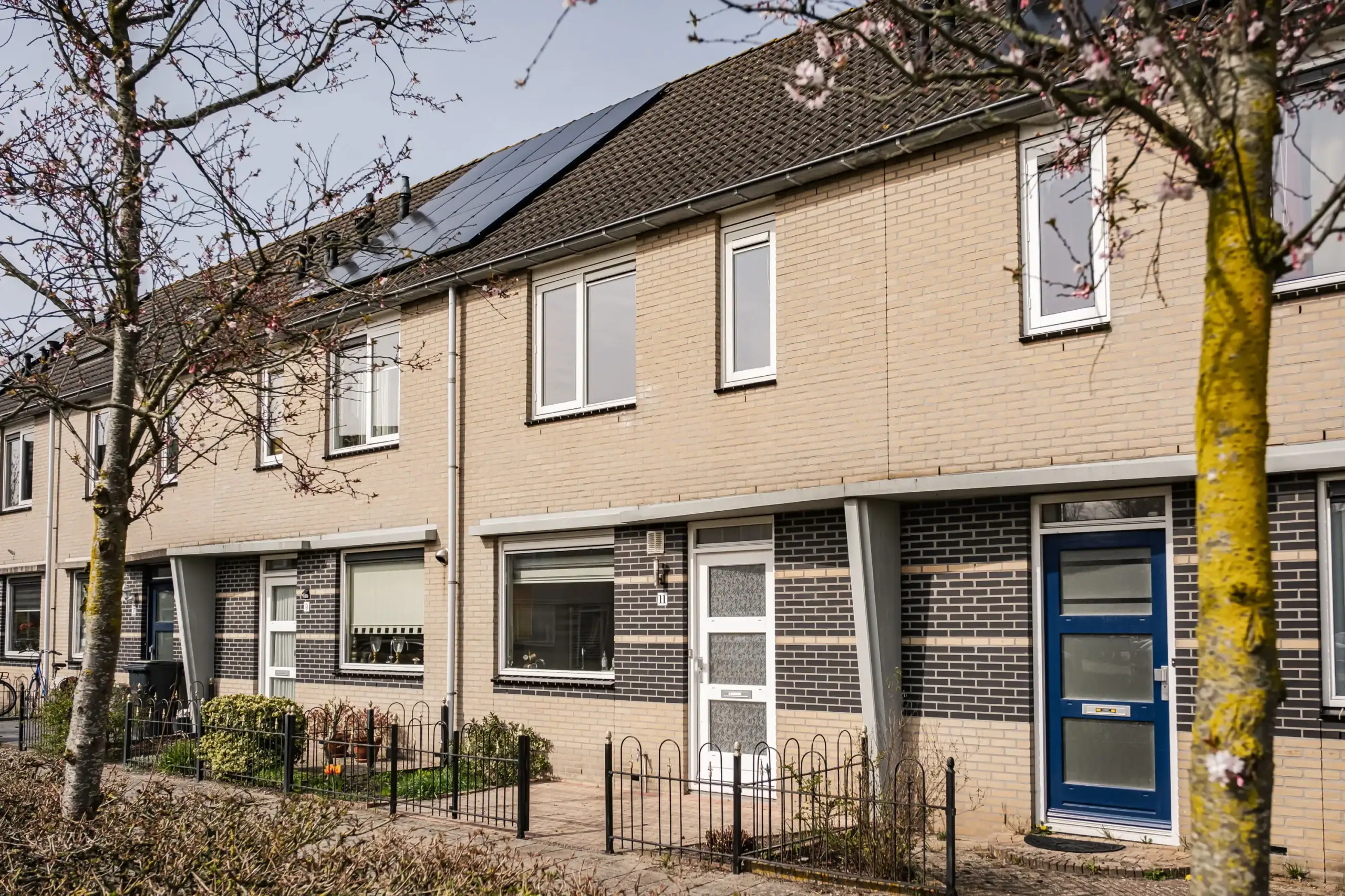 Alexander Polaplein 11