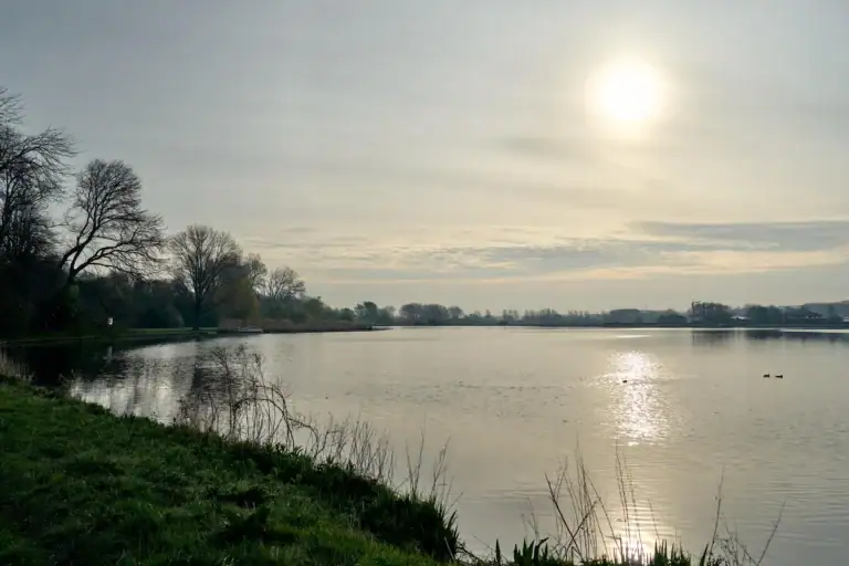 Albert Schweitzerlaan 39