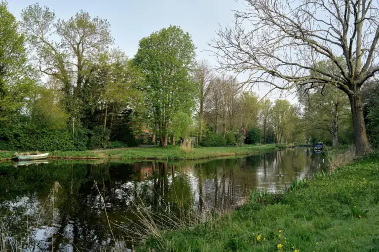 Albert Schweitzerlaan 39