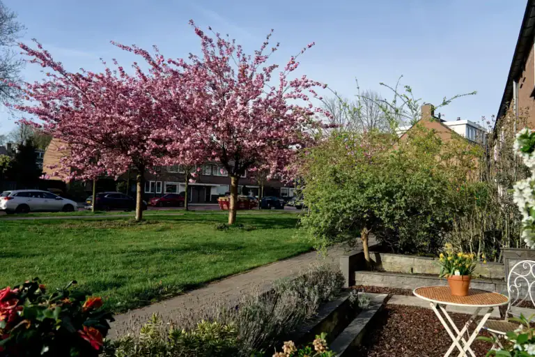 Albert Schweitzerlaan 39