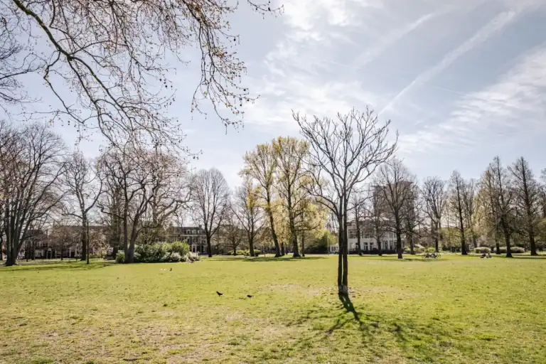 Wagenmakerslaan 10