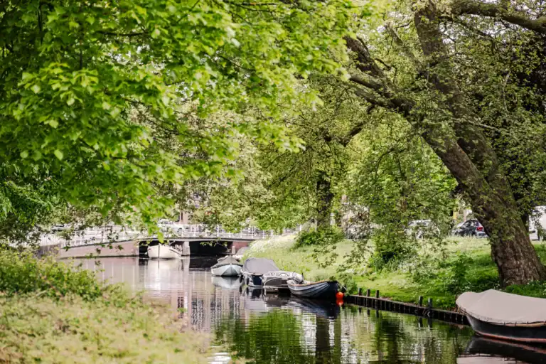 Raamsingel 14 D